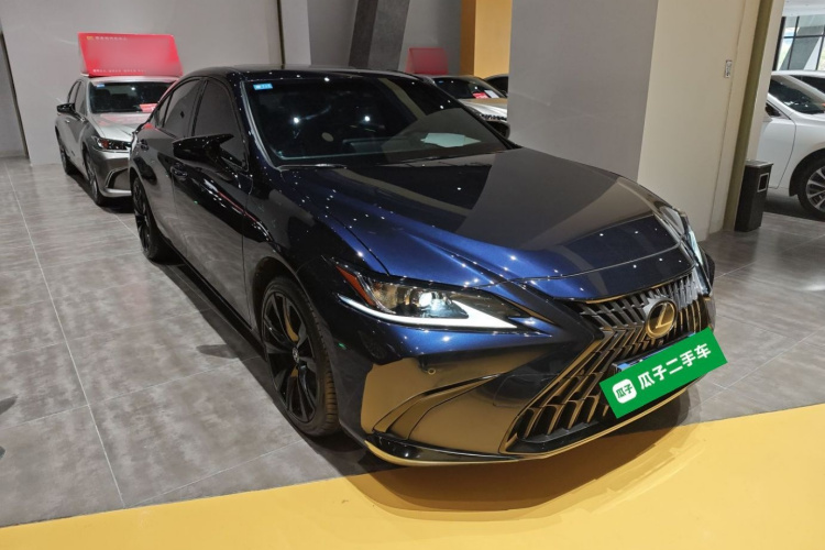 雷克萨斯ES 2022款 200 卓越版车身外观6002