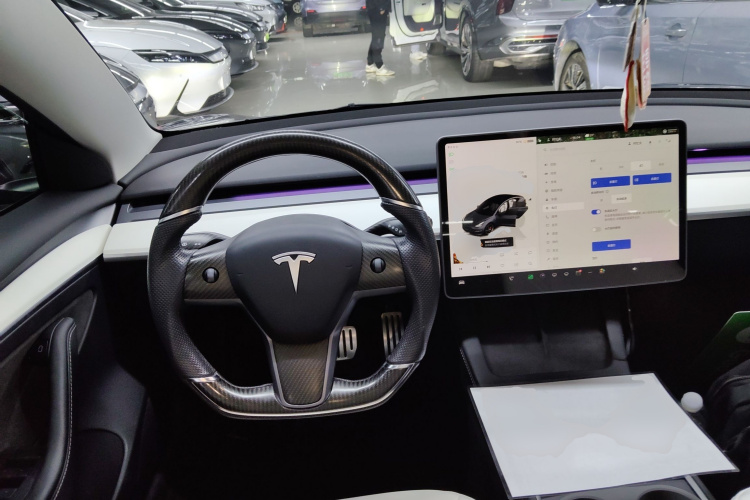 特斯拉 Model 3 2022款 Performance高性能全轮驱动版中控内饰13