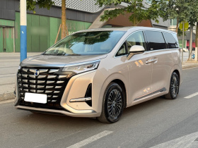 腾势D9 2022款 DM-i 1040 尊贵型