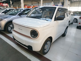 吉利银河 2024款 熊猫mini 200km 耐力熊
