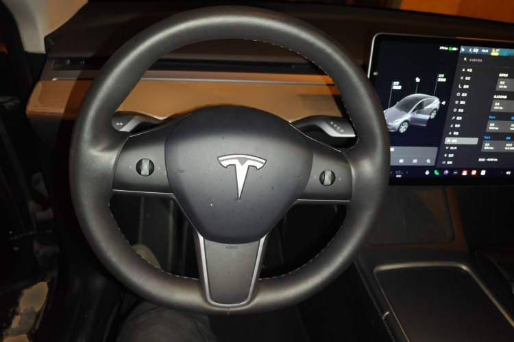 特斯拉 Model Y 2021款 标准续航后驱版局部细节13