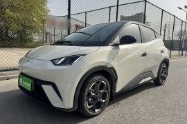 比亚迪 海鸥 2025款 305km 自由版