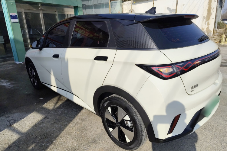 比亚迪 海豚 2023款 420km 时尚版车身外观6003