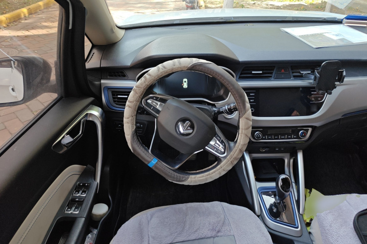 睿蓝汽车 枫叶30X 2020款 智行版中控内饰13