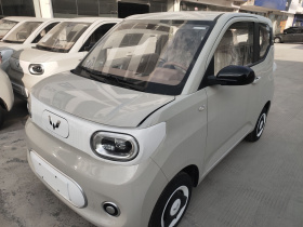 五菱汽车 宏光MINIEV 2024款 第三代 215km 青春版