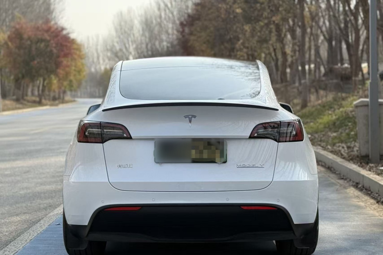 特斯拉 Model Y 2022款 Performance高性能全轮驱动版车身外观6003