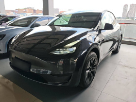 特斯拉 Model Y 2024款 后轮驱动版