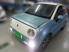 欧拉黑猫 2019款 351km 灵睿版