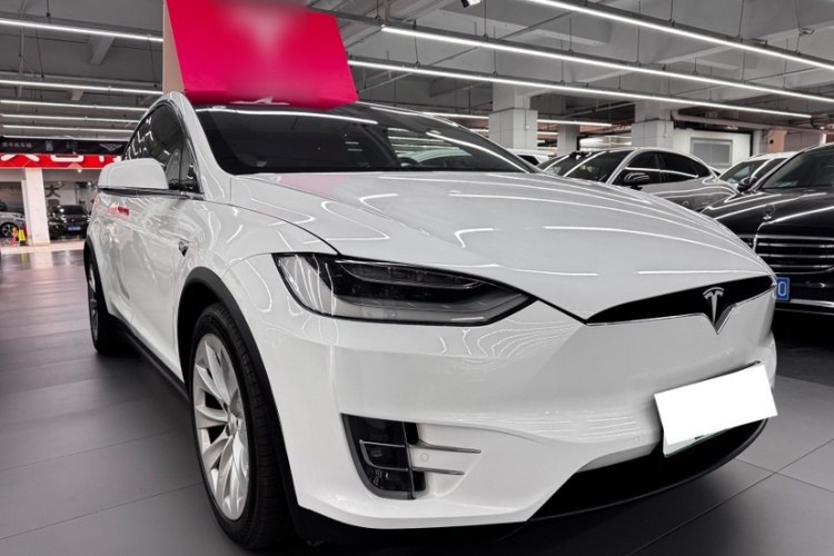 特斯拉 Model X 2019款 长续航版车身外观6002