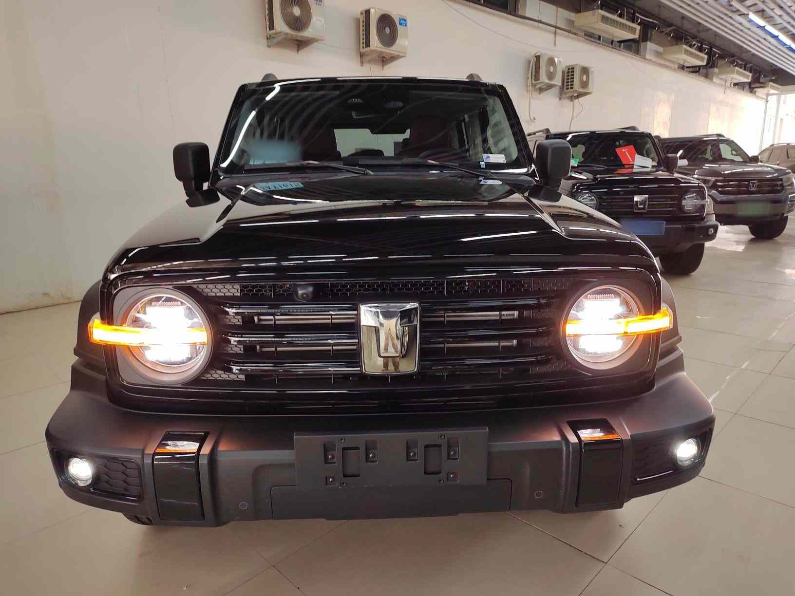 坦克300 2025款 2.0T 汽油征服者(2)