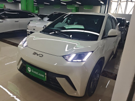 比亚迪 海鸥 2025款 405km 飞翔版