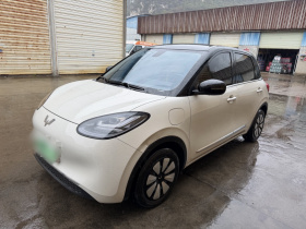 五菱汽车 五菱缤果 2023款 410km 灵犀尊享款