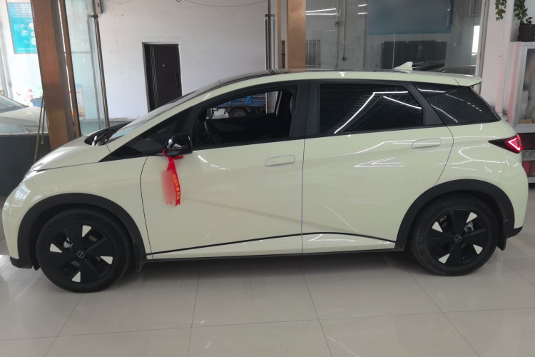 比亚迪 海豚 2023款 420km 时尚版车身外观4