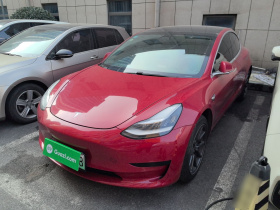 特斯拉 Model 3 2019款 标准续航后驱升级版