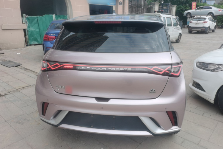 比亚迪 海豚 2021款 405km 时尚版车身外观6