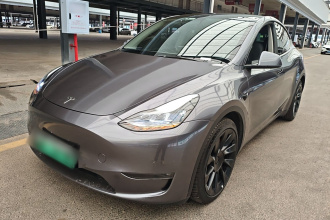 特斯拉 Model Y 2021款 标准续航后驱版