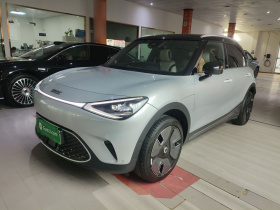 smart精灵#1 2024款 灵动豪华版