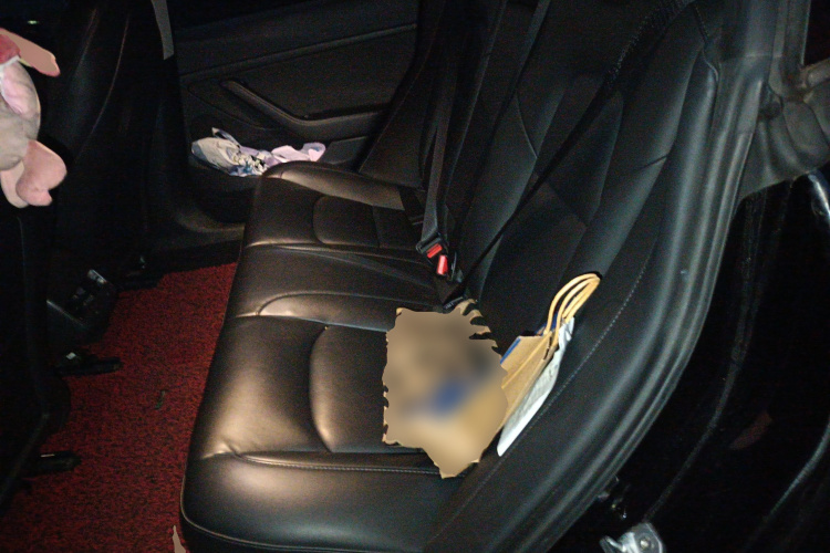 特斯拉 Model 3 2021款 标准续航后驱升级版中控内饰7004