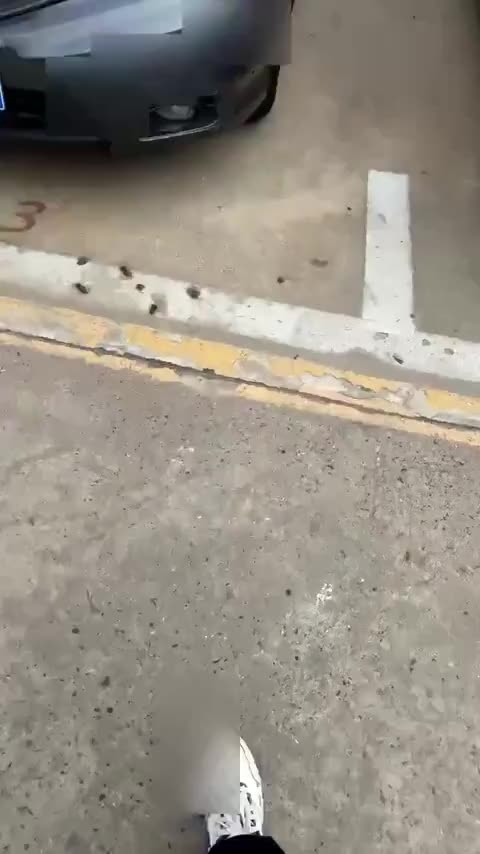 比亚迪 秦PLUS 2021款 DM-i 55KM 旗舰型讲解1