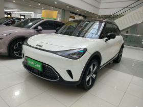 smart精灵#1 2024款 灵动标准版