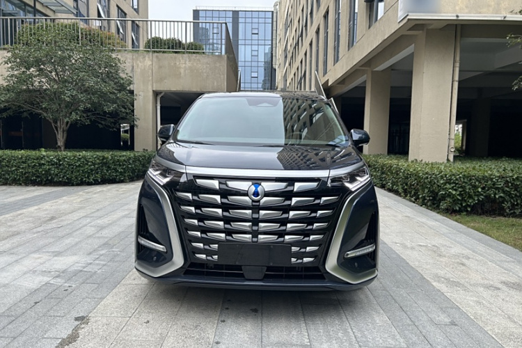 腾势D9 2022款 DM-i 1040 尊贵型车身外观6003