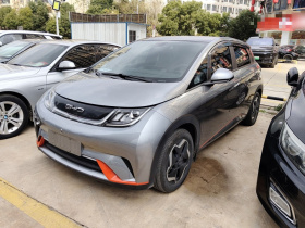 比亚迪 海豚 2021款 405km 时尚版