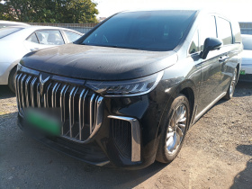 岚图汽车 岚图梦想家 2022款 低碳版 想+智驾包