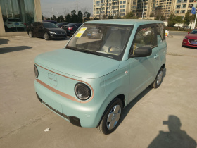 吉利银河 2024款 熊猫mini 200km 耐力熊