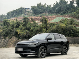 鸿蒙智行 问界M7 2024款 1.5T 智驾四驱Pro版 6座