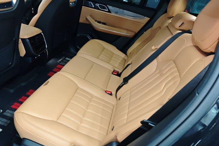 领克09 EM-P 2023款 2.0TD EM-P 远航版PM 七座中控内饰21