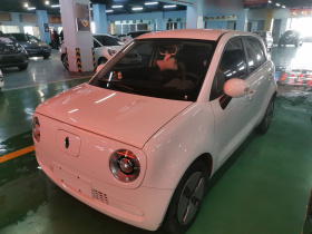 欧拉黑猫 2021款 301km 基础型