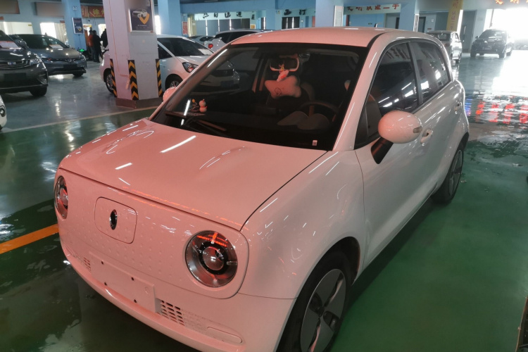 欧拉黑猫 2021款 301km 基础型车身外观1