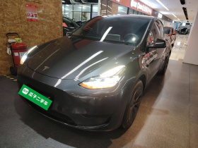 特斯拉 Model Y 2024款 后轮驱动版