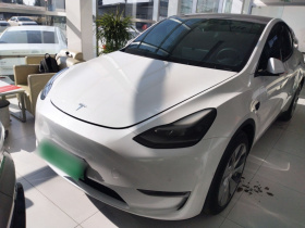 特斯拉 Model Y 2021款 标准续航后驱版