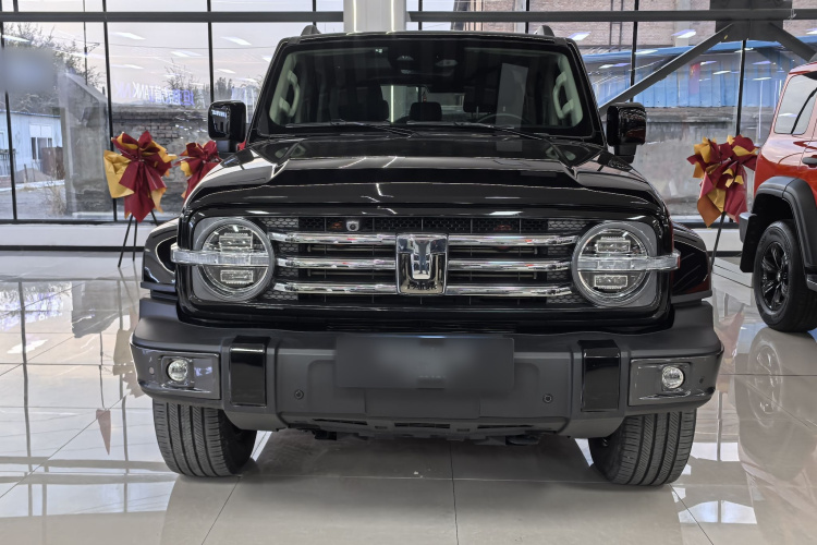 坦克300 2021款 城市版 2.0T 很有型车身外观6004