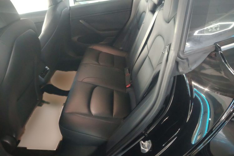 特斯拉 Model 3 2022款 后轮驱动版中控内饰7004