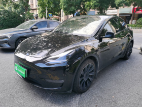 特斯拉 Model Y 2021款 长续航全轮驱动版
