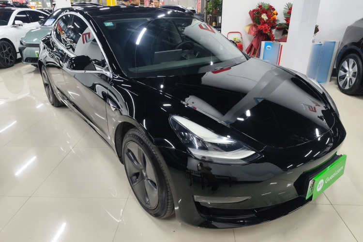 特斯拉 Model 3(进口) 2019款 长续航全轮驱动版车身外观6002