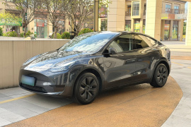 特斯拉 Model Y 2024款 后轮驱动版