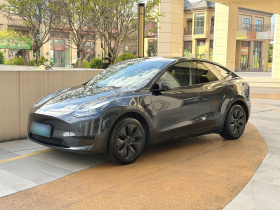 特斯拉 Model Y 2024款 后轮驱动版