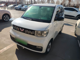 五菱汽车 宏光MINIEV 2020款 自在款 三元锂