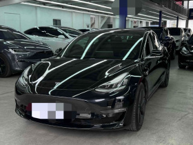 特斯拉 Model 3(进口) 2019款 长续航后驱版