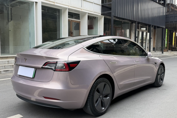 特斯拉 Model 3(进口) 2019款 长续航后驱版车身外观6007