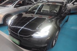 特斯拉 Model 3 2020款 Performance高性能全轮驱动版