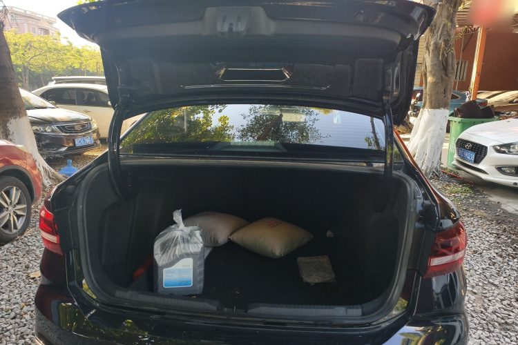 大众 朗逸 2024款 300TSI DSG星空领先版机舱底盘23