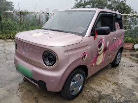 吉利银河 2023款 熊猫mini 200km 耐力熊