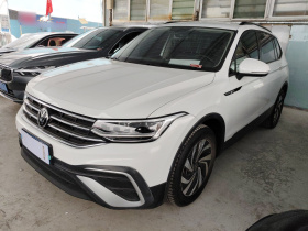 大众 途观L 2023款 330TSI 自动两驱舒享版