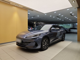 比亚迪 海豹06新能源 2024款 DM-i 120KM尊享型