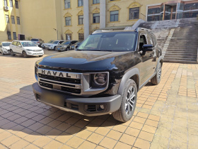 哈弗大狗 2024款 1.5T DCT边牧版