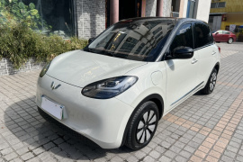 五菱汽车 五菱缤果 2023款 333km 悦享+款